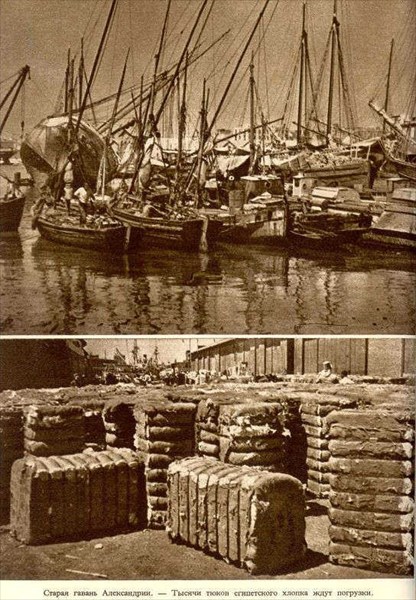 Старая гавань Александрии.